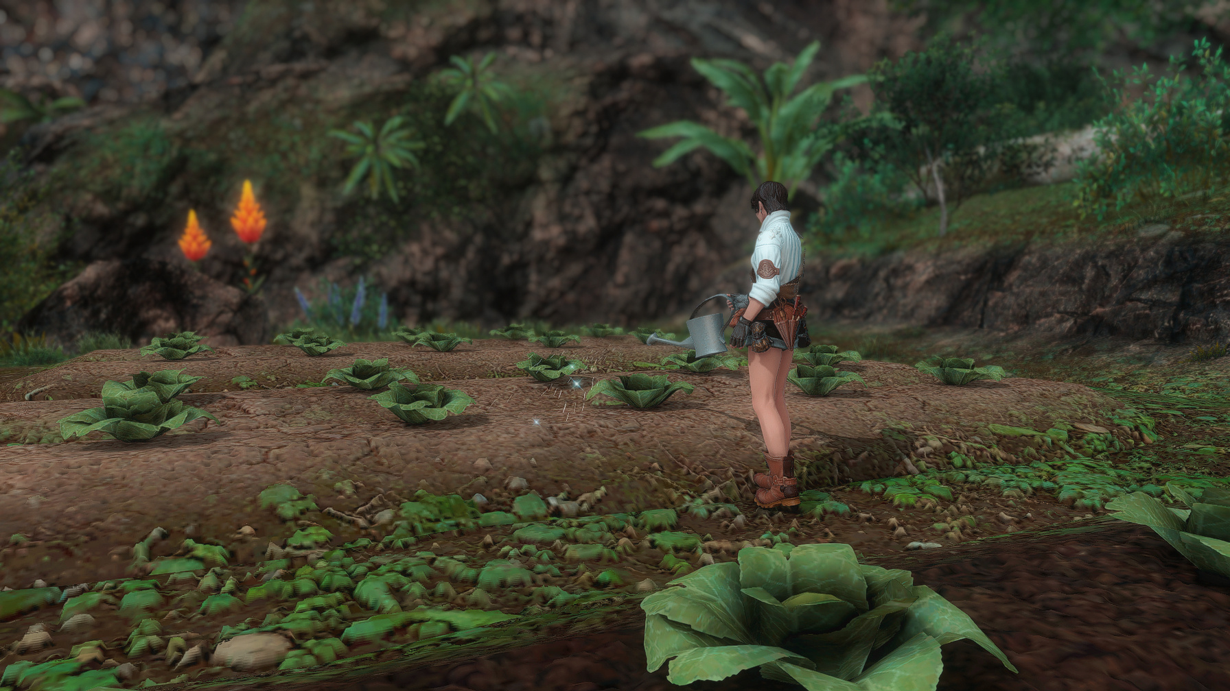 Tending the Garden (1)